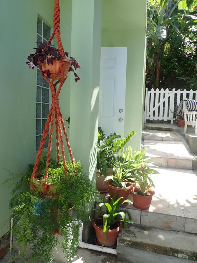Urban Oasis Apartment Castries Extérieur photo