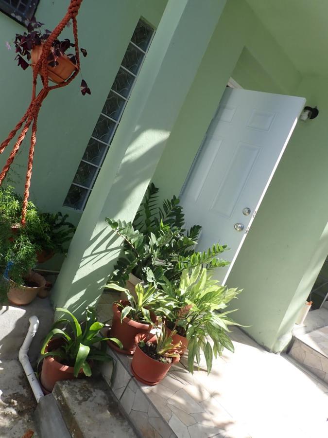 Urban Oasis Apartment Castries Extérieur photo